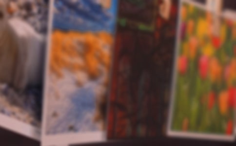 老照片的故事作文