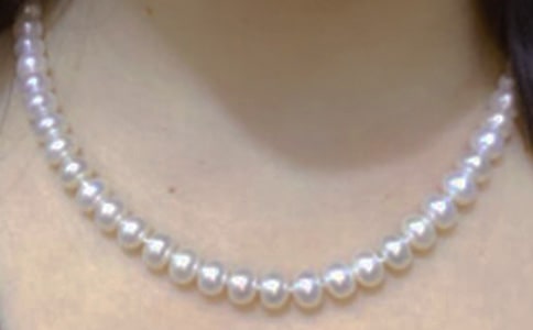 珍珠瑪瑙《紅樓夢》(讀后感一)