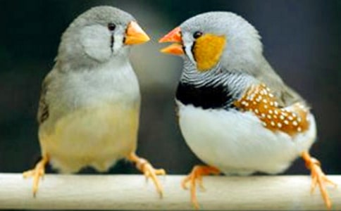 ����(sh��)�ã��x�������B(ni��o)���и�