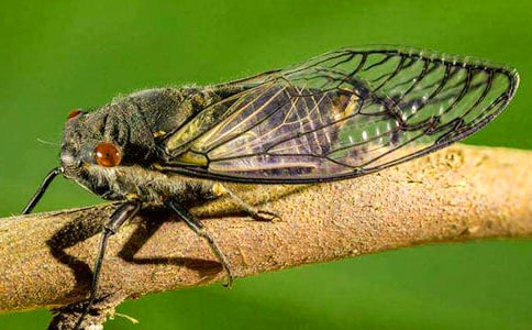 [��(y��u)]�P��֪������15ƪ