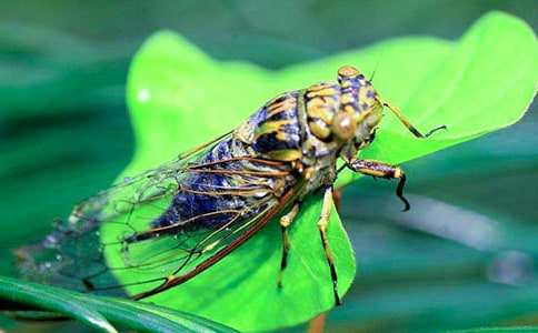 ׽֪�����꼉���ģ�ͨ��28ƪ��