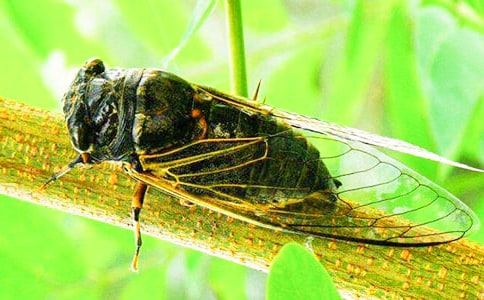 ֪������300�օR����4ƪ��