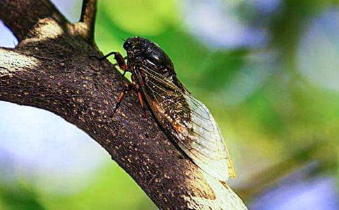 ׽֪������23ƪ[��Ʒ]