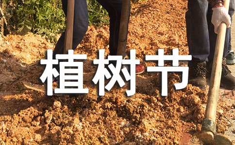 植樹(shù)節(jié)小班美術(shù)優(yōu)秀教案(通用6篇)