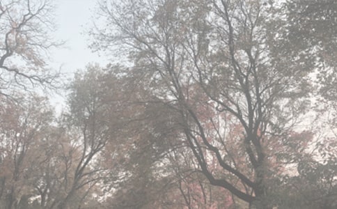 С�W(xu��)���꼉���ą��^ֲ��@��ͨ��40ƪ��