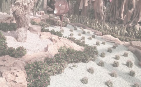 秋天的植物園作文