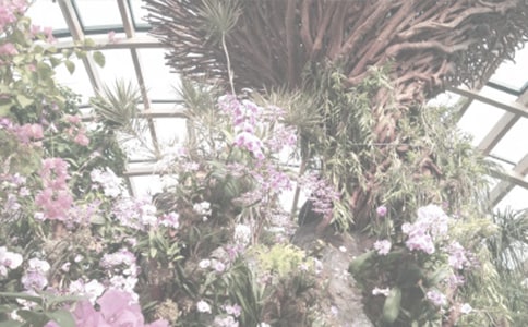 ���]����ֲ��@����