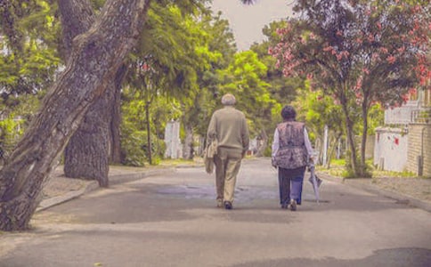 �����꼉�u�Z�R��15ƪ