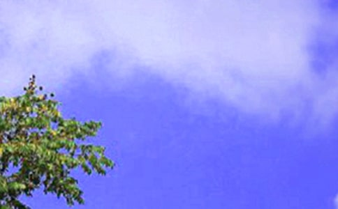 ���������600��