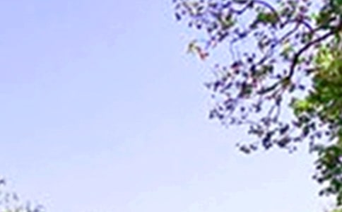 小學(xué)生作文:中午的尷尬事