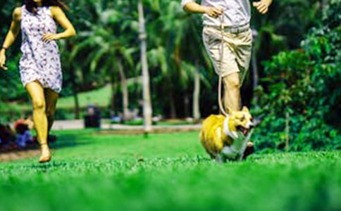 周末逛街了日記