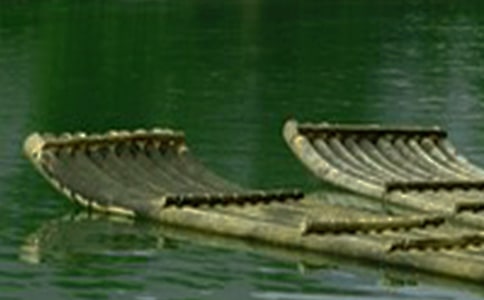 我們的竹筏起航啦作文