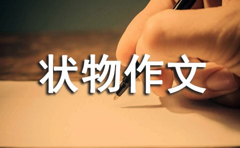 苦丁香的記憶 450字狀物作文