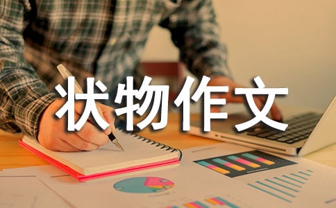 【精選】四年級狀物作文錦集五篇