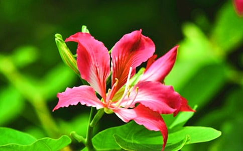 ���G�������ă�(y��u)�㣨4ƪ��