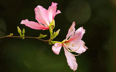 �y�������G��600������