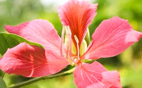 ���G������