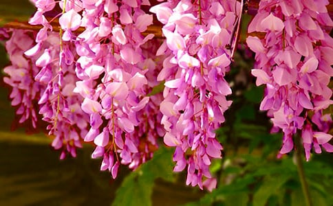 �茑(xi��)���ٻ��ľ��ӣ�ͨ��200�䣩