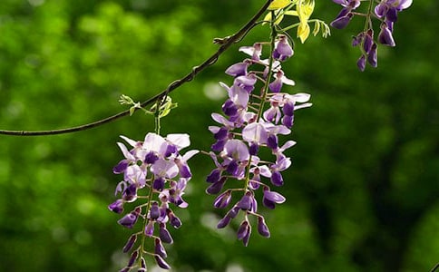 ��Ҋ���ٻ��_����