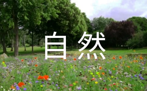 第三單元自然界的水課題2 分子和原子