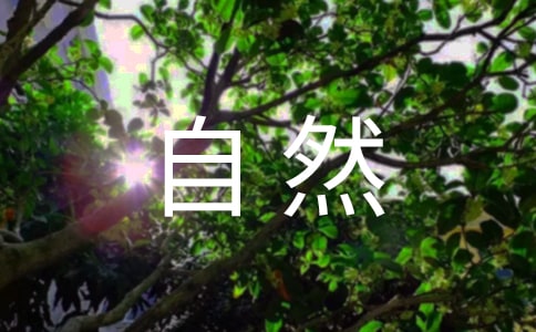 大班美麗的大自然教案