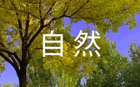 我愛大自然優(yōu)秀大班美術(shù)教案