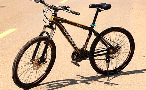 第一次騎自行車(chē)的作文(精選40篇)