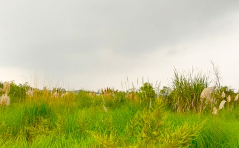 �x�����M(j��n)���C�Ĵ��졷�и�