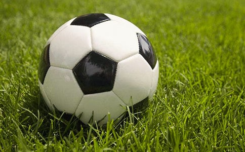 初中體育足球腳內(nèi)側(cè)踢球教案(精選15篇)