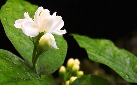 ���x�����꼉����8ƪ