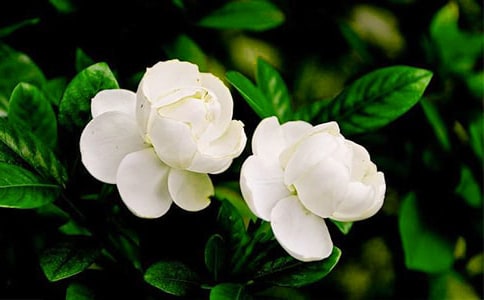 �P(gu��n)�������c�ҵ�����