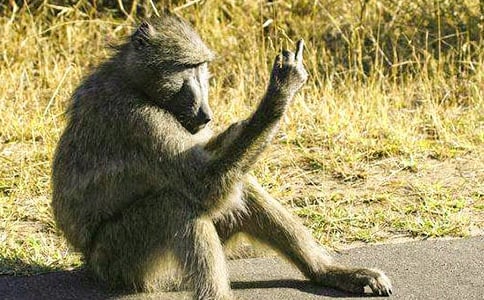 С�W(xu��)���꼉���ģ�������