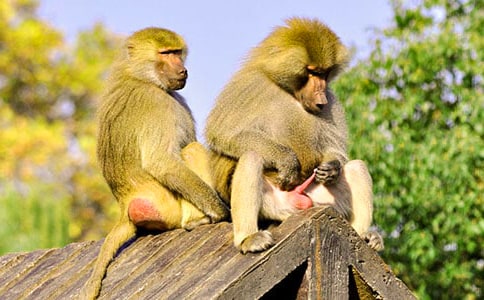 ������������700��