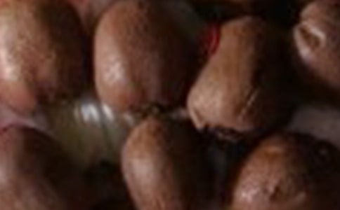 獼猴桃小學(xué)生作文400字(精選39篇)