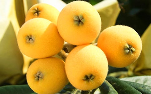 ���˵�����300�֣�����