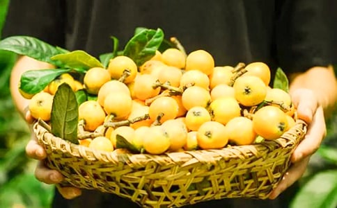 ����(y��u)��ժ��������15ƪ