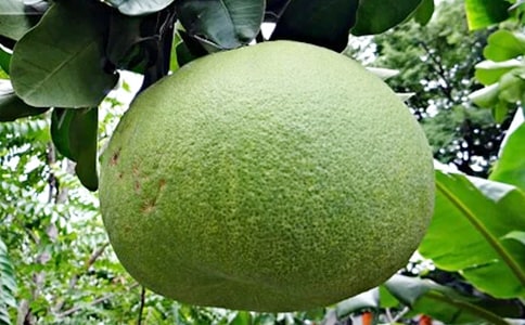 �а����g(sh��)��(y��u)��̰������Ӯ���