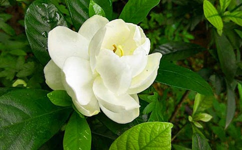 ���ᣩ�d�ӻ�����4ƪ