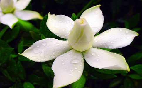 �d�ӻ��_(k��i)����15ƪ