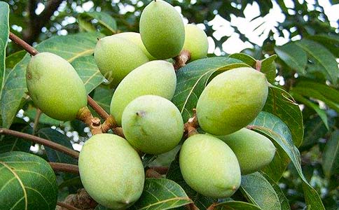 �ϙ����������8�N�o(h��)�wС�[�T