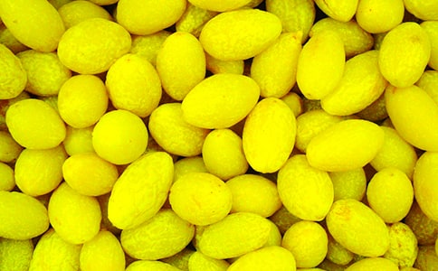 橄欖菜怎么做才好吃