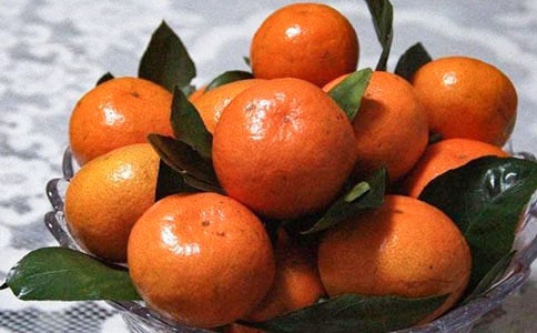 大班美術(shù)橘子教案