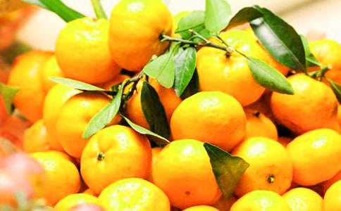 關(guān)于吃橘子的作文范文