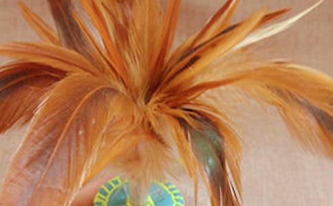 ����n�̌W(xu��)��˼����