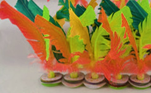 大學生毽球錦標賽總結