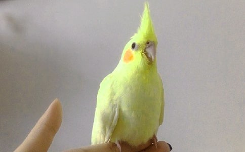 ����(j��)�W�^