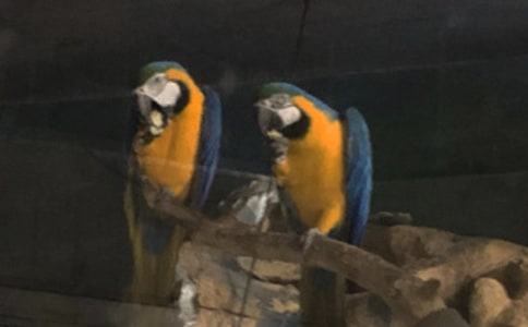 �W�^����600�֣���(j��ng)�䣩