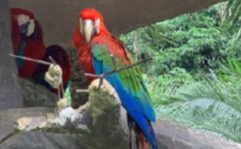 �W�^����ӛ