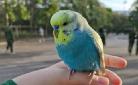 �t�������W�^