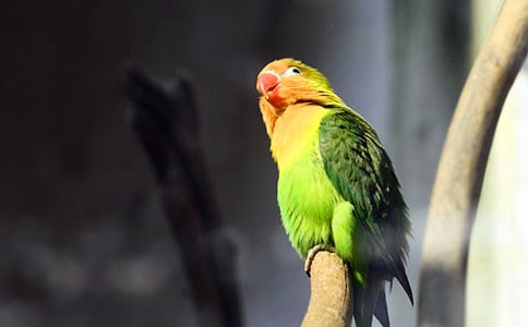 �Ҽҵ��W�^����